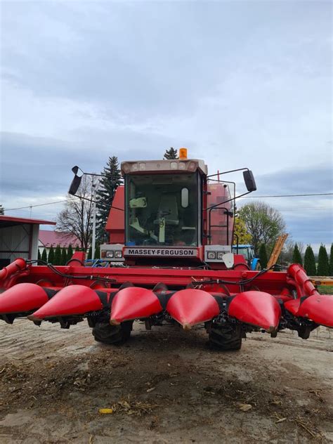 Kombajn Massey Ferguson Urawiczki Olx Pl