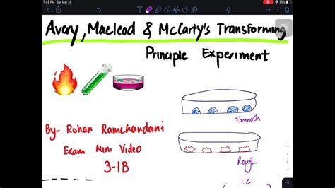 Avery MacLeod And McCartys Transforming Principle Experiment YouTube