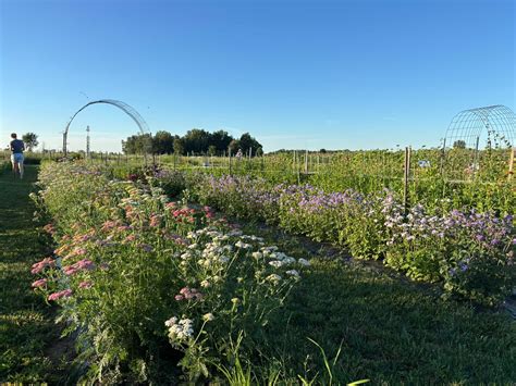 Hale Family Farms | Sandusky MI