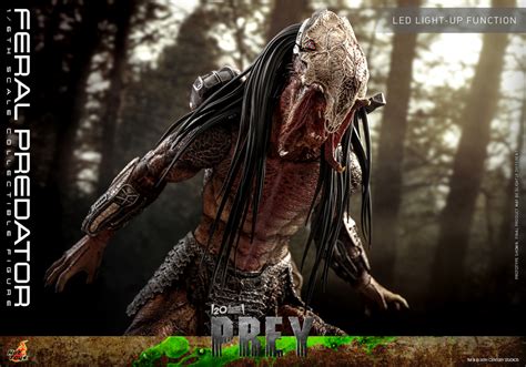 Hot Toys終極戰士獸獵者野性終極戰士Feral Predator1 6 比例收藏級人偶 傾力刻畫出的最醜容顏