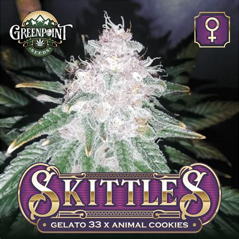 Skittles Feminized Seeds - Gelato #33 x Animal Cookies | Greenpoint