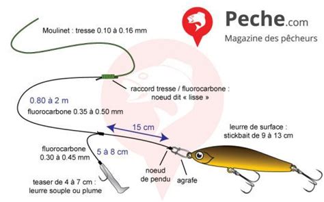 Guide Ultime De P Che Au Bar Du Bord En France Techniques Et Spots