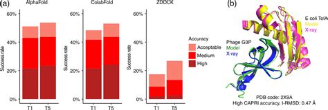 Benchmarking Alphafold For Protein Complex Modeling Reveals Accuracy