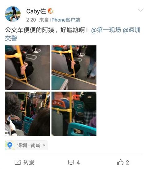 下班高峰期，龍崗公交車上一女子竟然當眾脫褲子，還做了這事 每日頭條