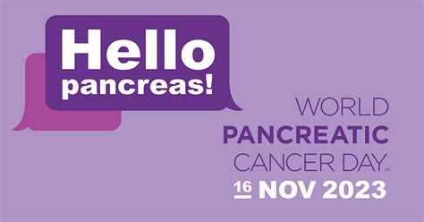 World Pancreatic Cancer Day - Hirshberg Foundation for Pancreatic Cancer Research