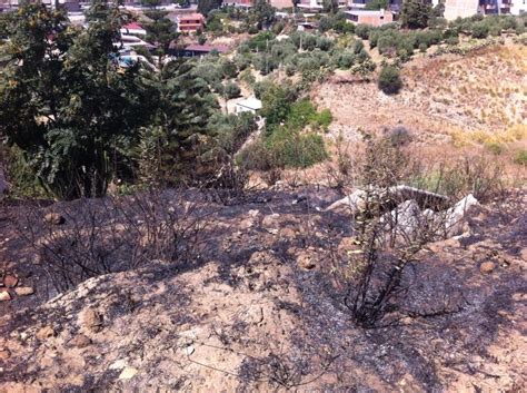 Reggio Maxi Incendio A Morloquio Le Immagini Del Disastro Dopo Una