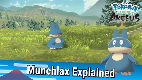 Munchlax Explained Pokémon Legends Arceus YouTube