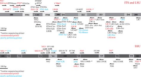 Fungal Primer Map