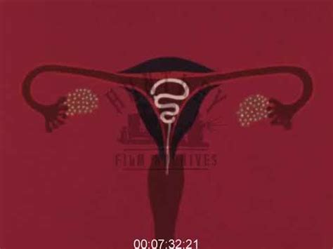 Sex Education And Contraception 1970s Film 1016829 YouTube