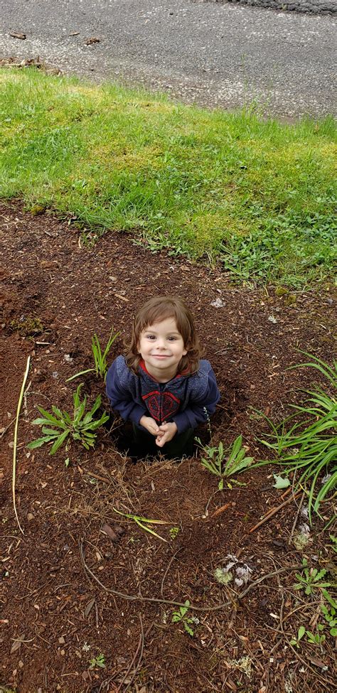 Filling post holes at sisters | Scrolller