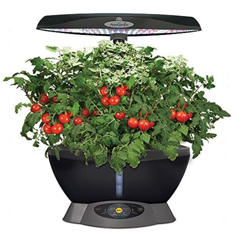 Miracle Gro Aerogarden 6 Led With Gourmet Herb Seed Pod Kit Gourmet