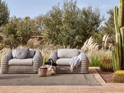 Two Couches Sitting On Top Of A Rug Next To A Cactus