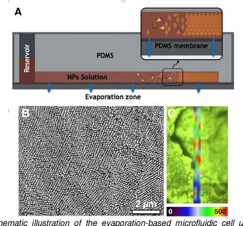 Figure From Microfluidic Induced Supercrystals For On Chip