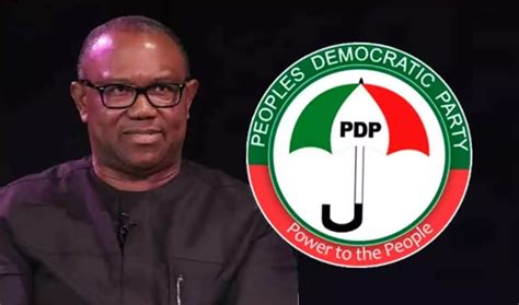 Pdp Chairman Declares Support For Peter Obi For 2023 Election Newsone