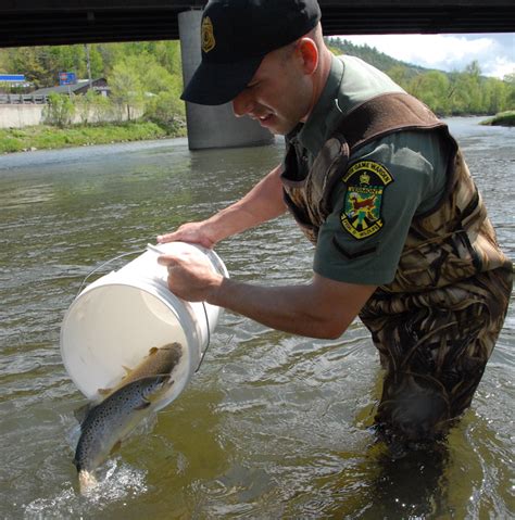 Vermonts Trophy Trout Stocking For 2024 Outdoor Wire