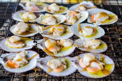 Shell Sea Food Stock Photo Image Of White Portuguese 64249012