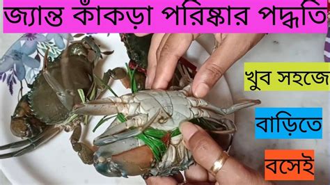 Crab Cleaning Method 🦞 খুব সহজে বাড়িতে কিভাবে কাঁকড়া কেটে পরিষ্কার