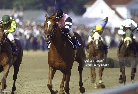 Kentucky Derby Steve Cauthen In Action Winning Race Aboard Affirmed