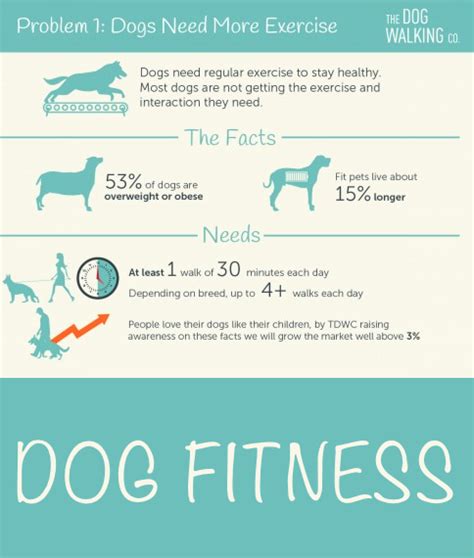 How Much Exercise Do Dogs Need Every Day