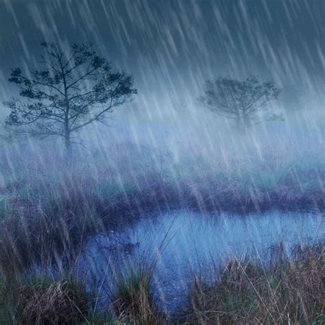 Stream Rain River Night Ambience 75 Minutes By Relaxing White Noise