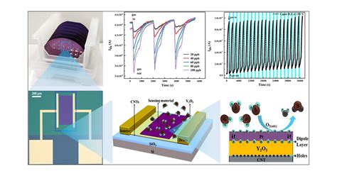 Wafer Scale Field Effect Transistor Type Sensor Using A Carbon Nanotube