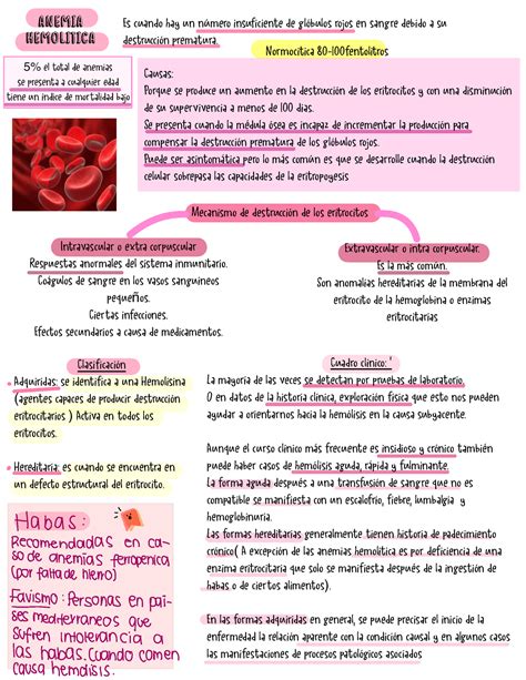 TODO SOBRE LA Anemia Hemolítica EN UN SOLO DOCUMENTO Anemia