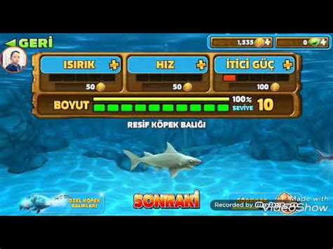 Hungry Shark Evilition B L M Youtube