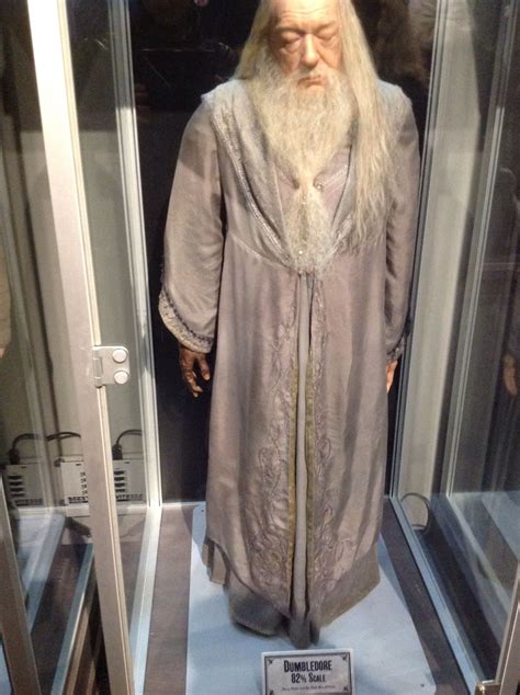 Albus Dumbledore Harry Potter Costume Harry Potter Dumbledore