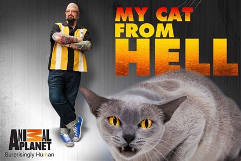 My Cat From Hell Instant Streaming