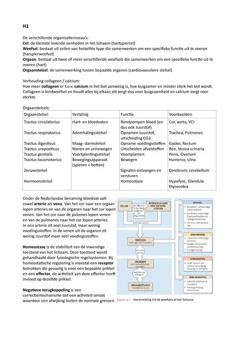 Samenvatting Medische Vakken Kennis Toets Jaar H De Verschillende