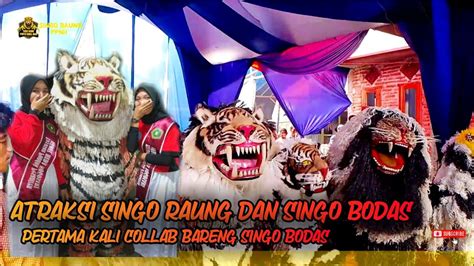 TERBARU ATRAKSI SINGO RAUNG BIKIN NAGIH CAN MACANAN BONDOWOSO LIVE