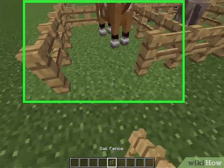 Wie Man Ein Pferd In Minecraft Pc Z Hmt