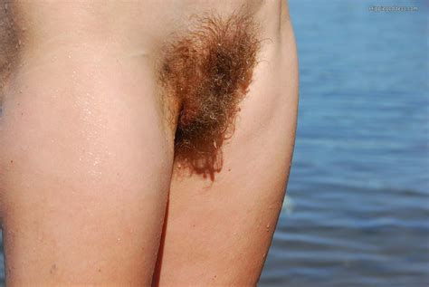 Hairy Galleries Mature Hairy Blond Hippie XXX Dessert Picture 16