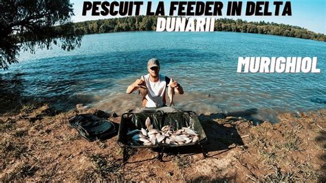 Pescuit La Feeder In Delta Dunarii Murighiol Youtube