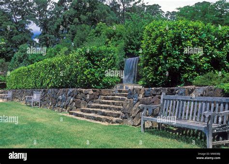 Garden Featuring Small Waterfall Hedging Prunus Laurocenasus Cherry