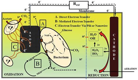 2 Schematic view of electron transfer mechanism | Download Scientific ...