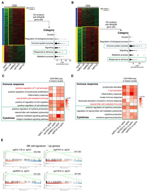 Bcl B And The Nurd Complex Cooperatively Guard Tcell Fate And Inhibit