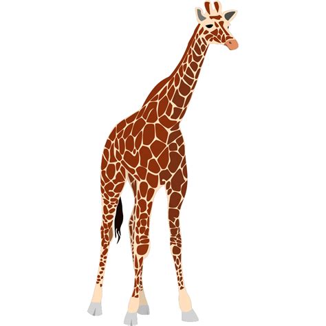 Giraffe Png Svg Clip Art For Web Download Clip Art Png Icon Arts