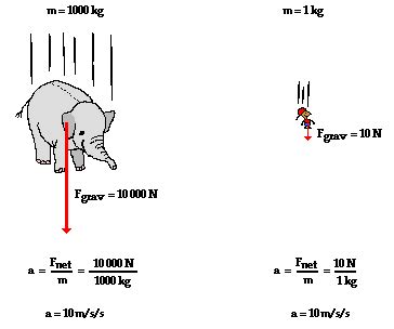 falling objects physics socratic