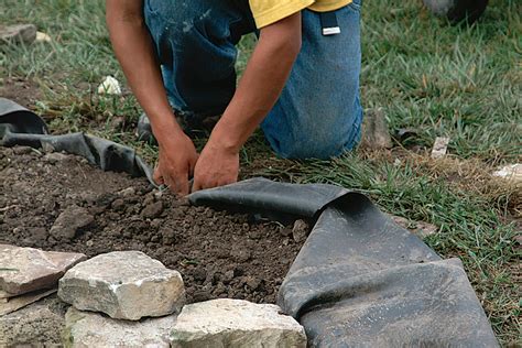 Planning Your First Water Garden - Fine Gardening