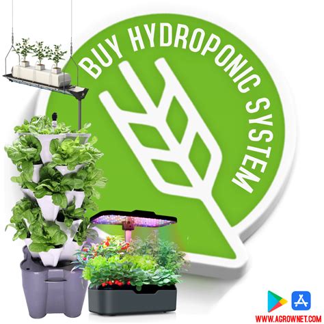 🛒 Buy Hydroponic System A Green Revolution Choosing The Right Hydroponic System For Your