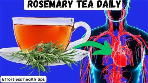 Reasons To Drink Rosemary Tea Wish That Someone Told You Earlier