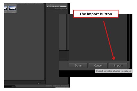 How To Import Photos Into Lightroom Classic Elaine J Films