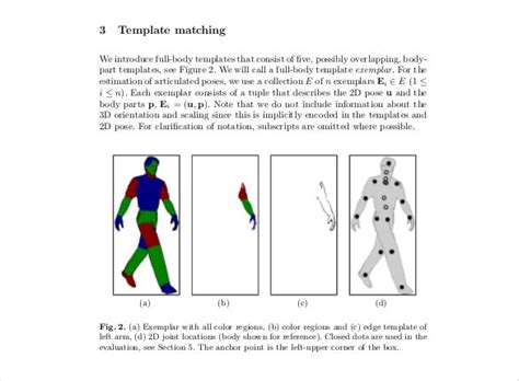 23+ Human Body Templates - DOC, PDF, PPT