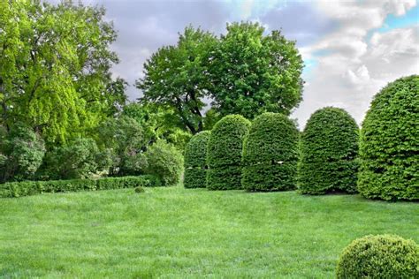 Various Bushes and Trees in Public Garden Stock Photo - Image of beauty, freshness: 219722432