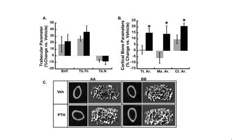 5 PTH Induced Gain Of Cortical Bone Area Is Greater In Haplotype B