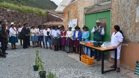 Cusco Capacitan A Productores De Ayaviri En Mejoramiento Gen Tico De