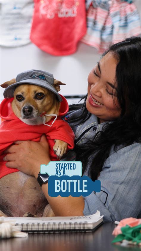 Petco (@petco) • Instagram photos and videos