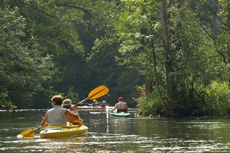 Discover The Best New Forest Activities Uk