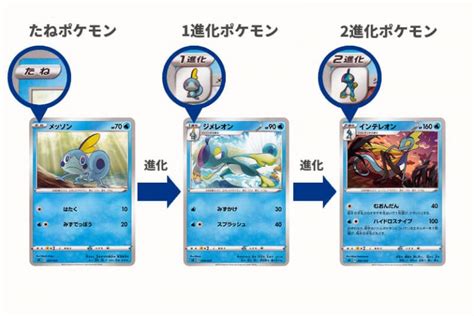 ポケモンカード ルール 進化退化 なぞのばしょ